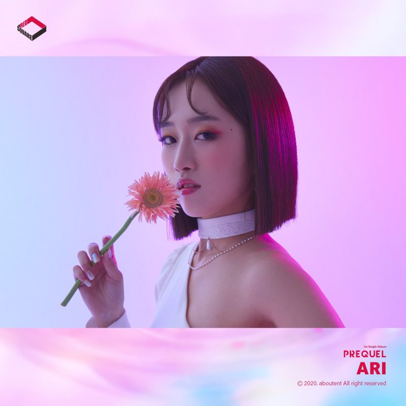 Ari (REDSQUARE Member) Age, Bio, Wiki, Facts & More